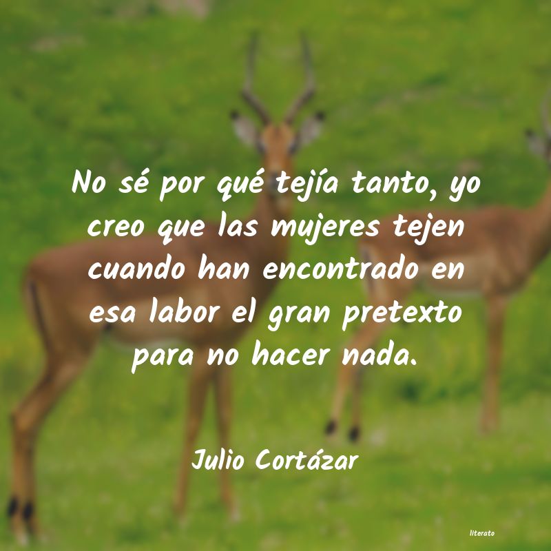 Frases de Julio Cortázar