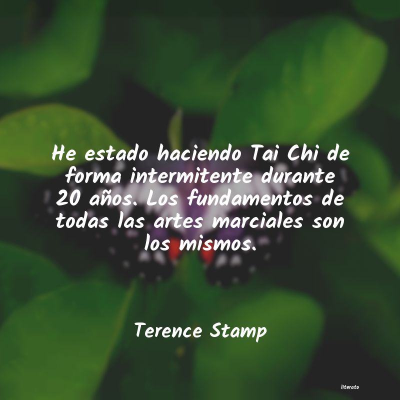 Frases de Terence Stamp