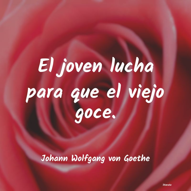 Frases de Johann Wolfgang von Goethe