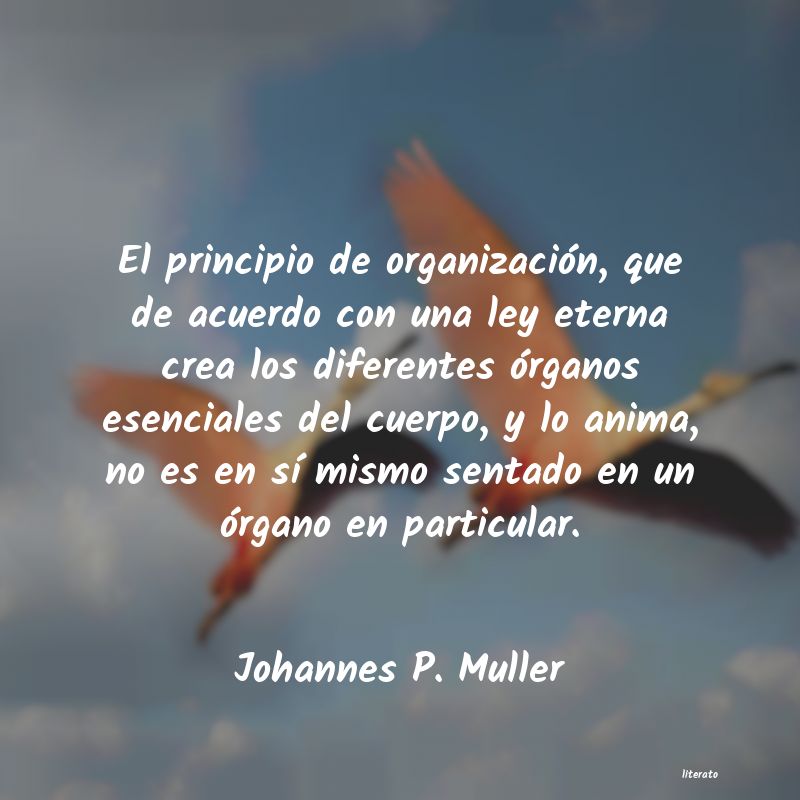 Frases de Johannes P. Muller