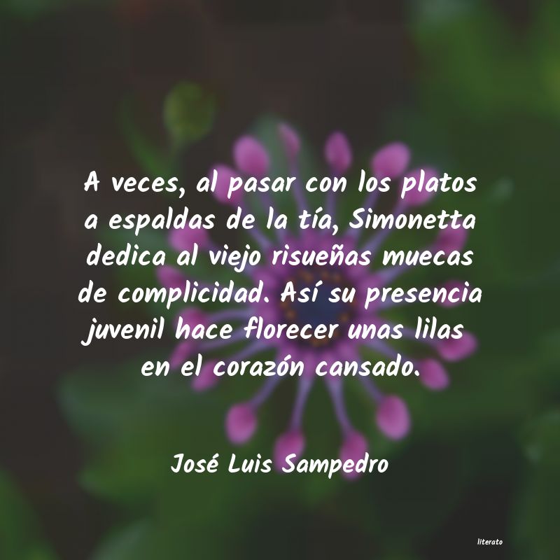 Frases de José Luis Sampedro