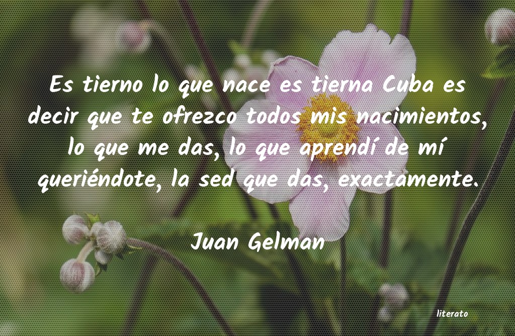 frases de Juan Gelman