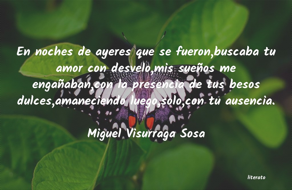 Frases de Miguel Visurraga Sosa