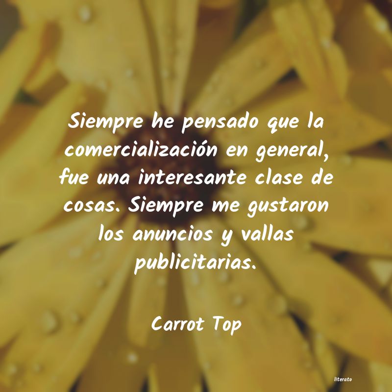 Frases de Carrot Top