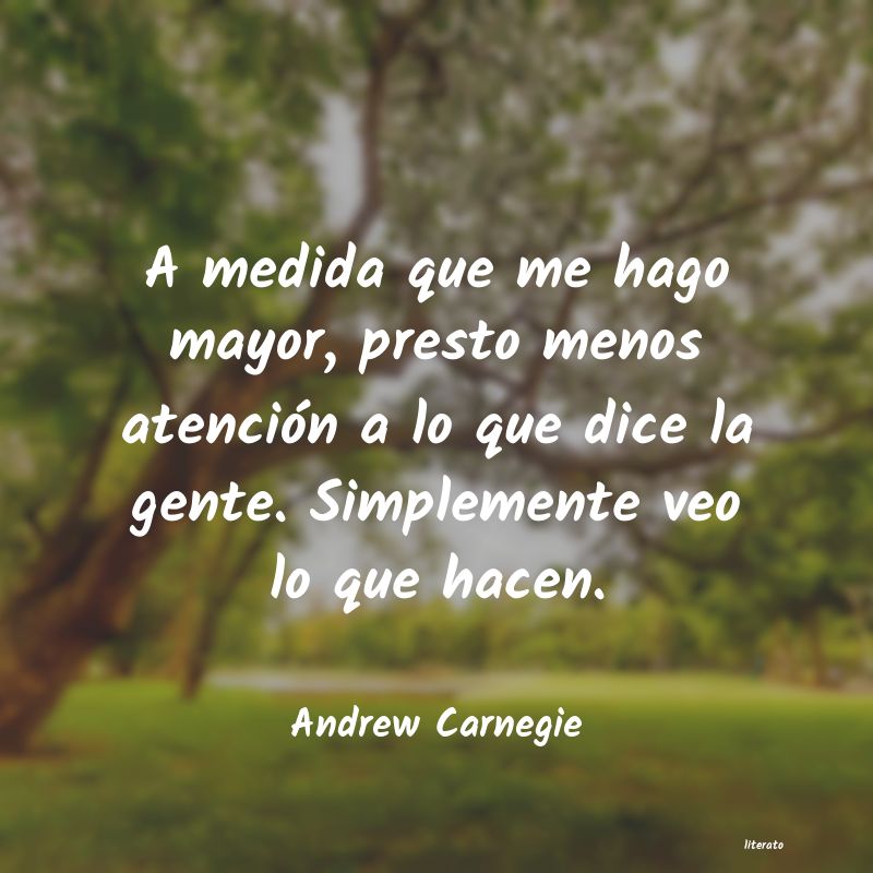 Frases de Andrew Carnegie