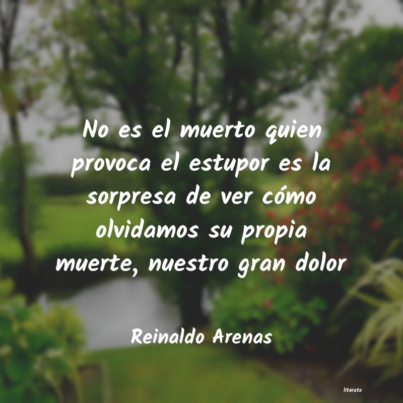 frases de Reinaldo Arenas