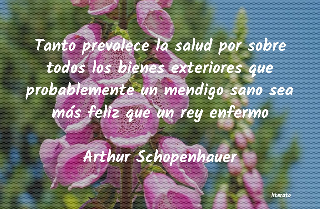 Frases de Arthur Schopenhauer