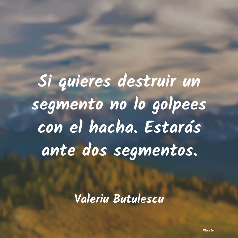 Frases de Valeriu Butulescu