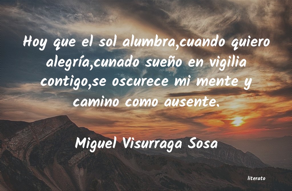 frases de Miguel Visurraga Sosa