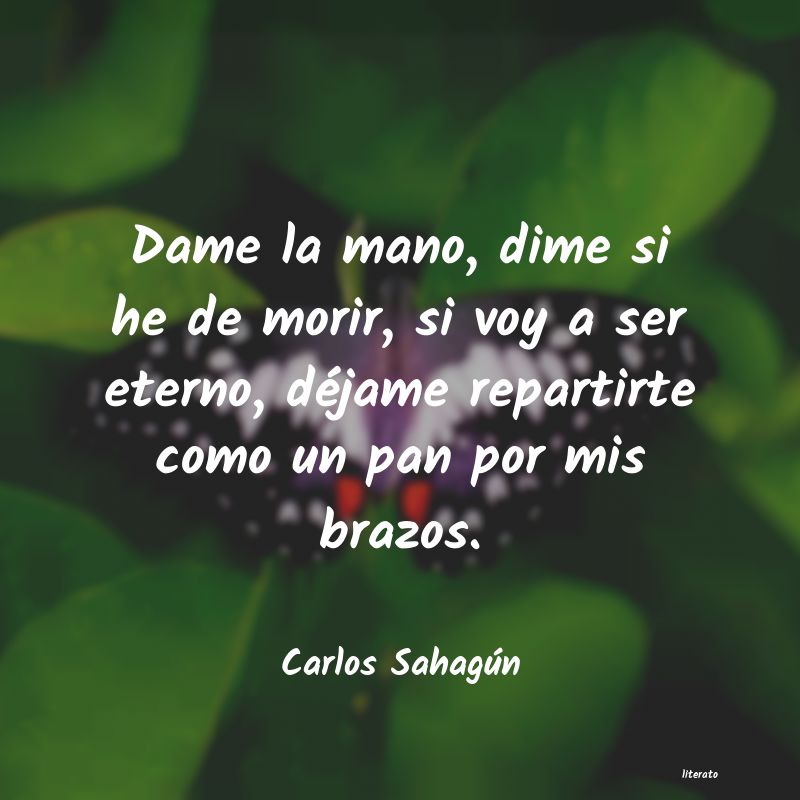 Frases de Carlos Sahagún