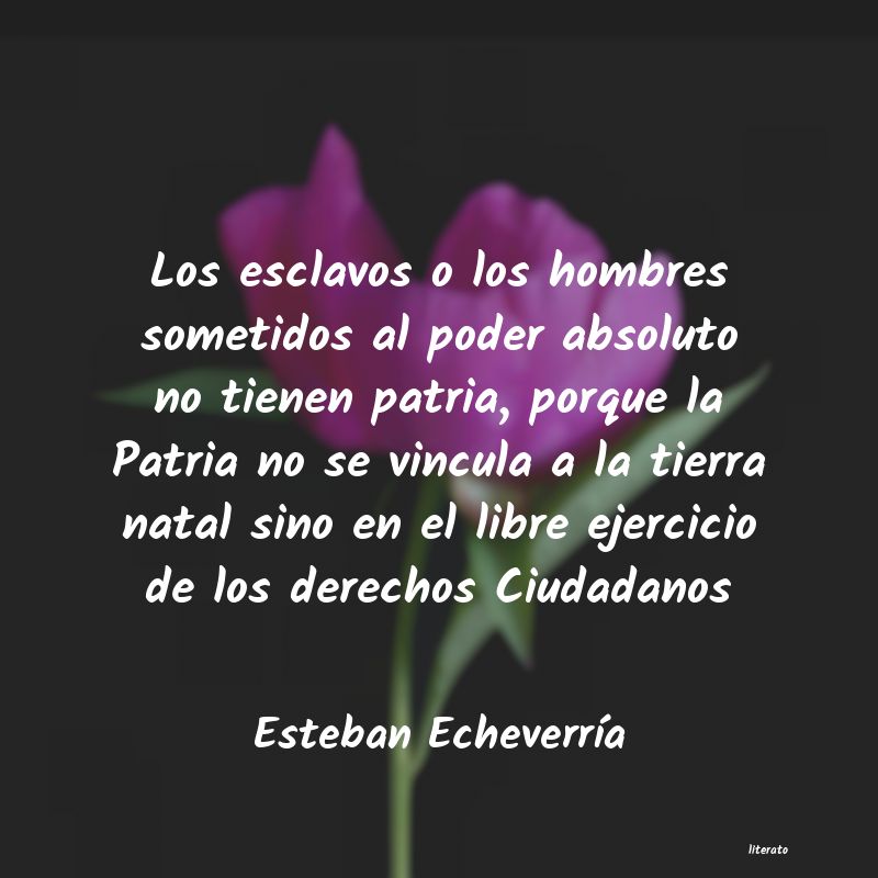 frases de ejercicio