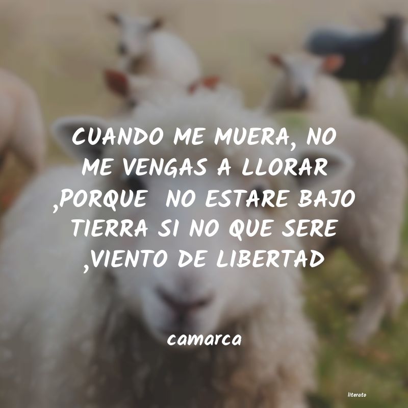 Frases de camarca