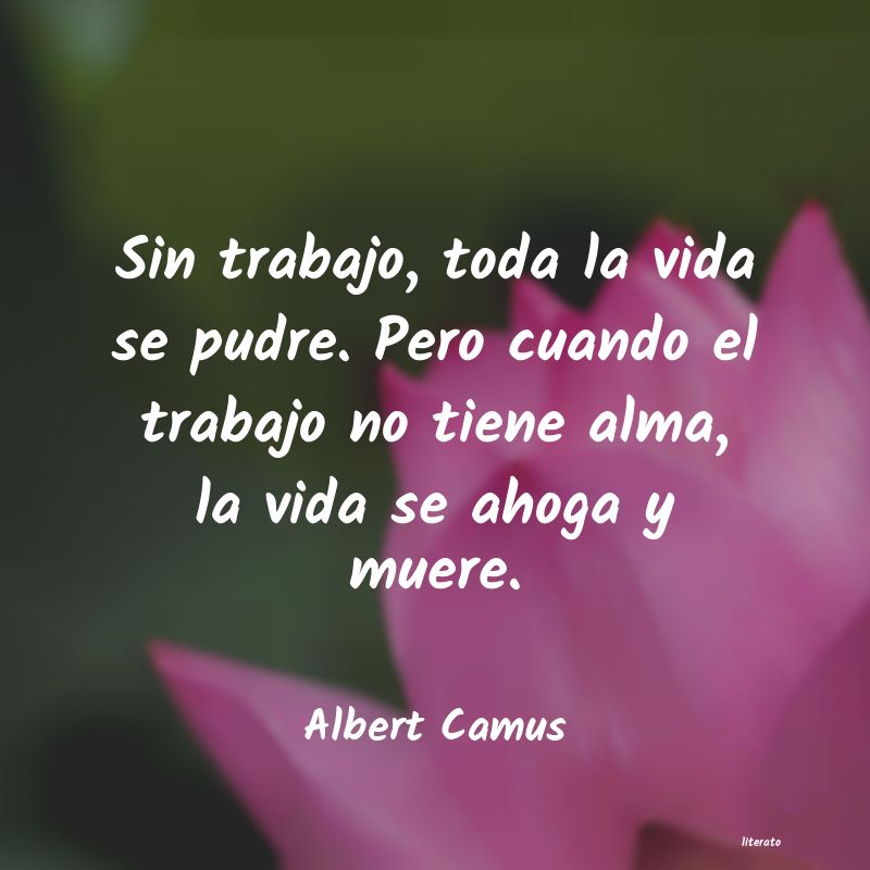 Frases de Albert Camus