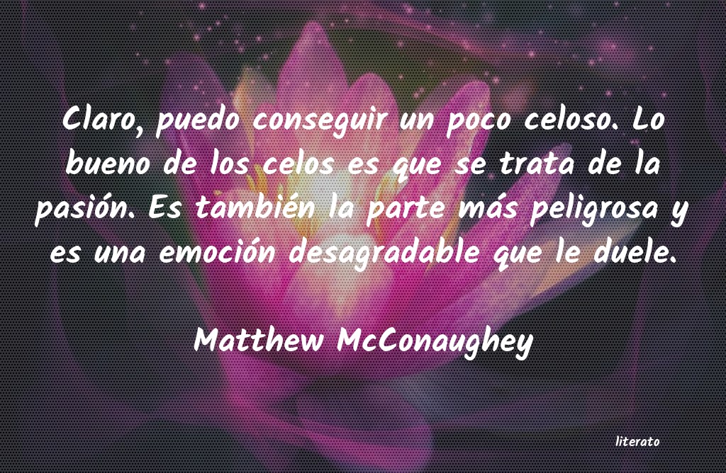 frases de Matthew McConaughey