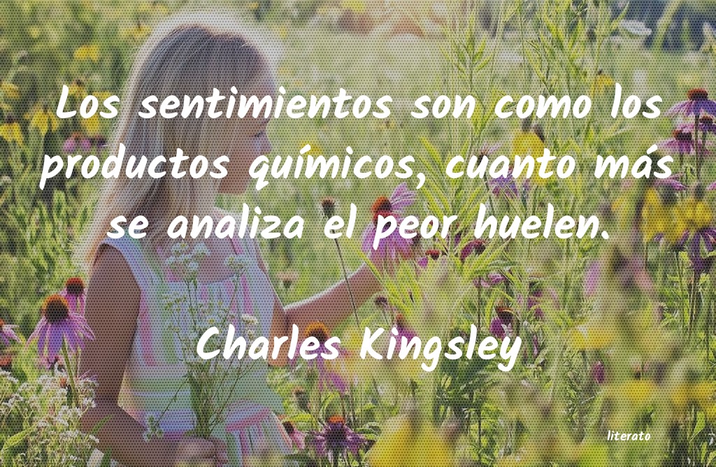frases de Charles Kingsley
