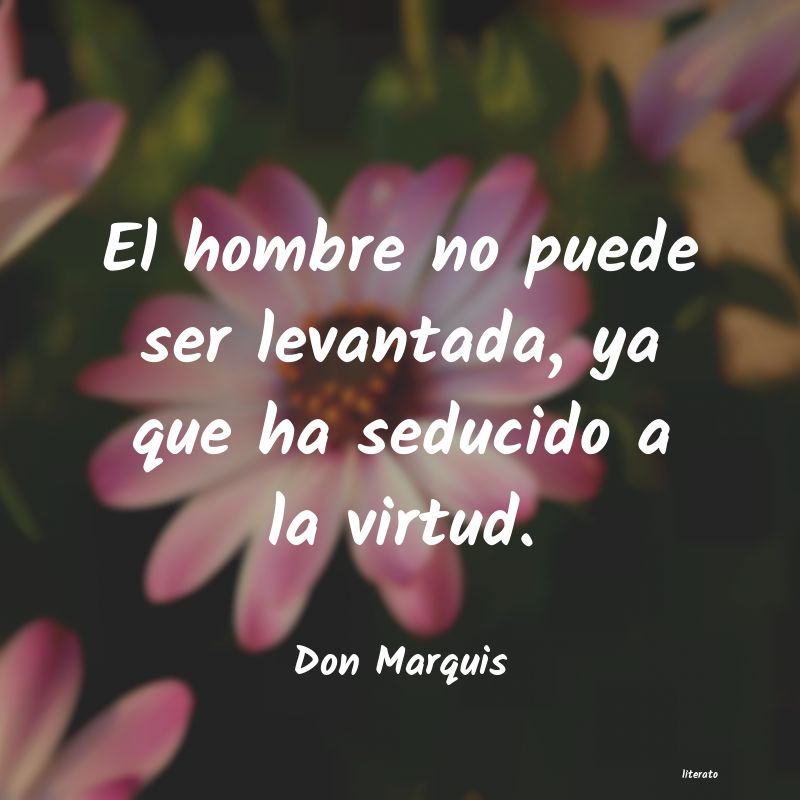 Frases de Don Marquis