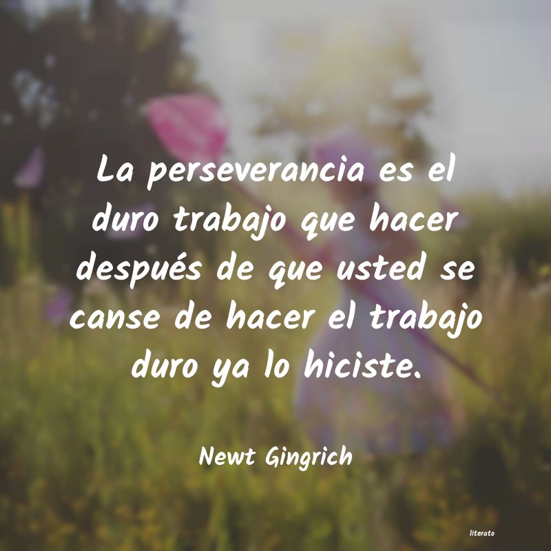 Frases de Newt Gingrich