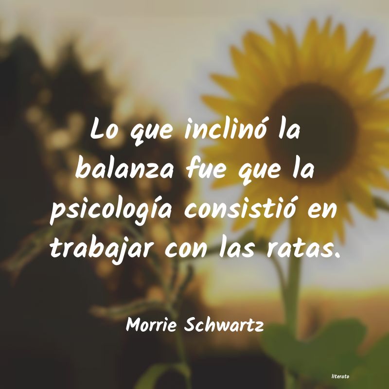 frases de Morrie Schwartz