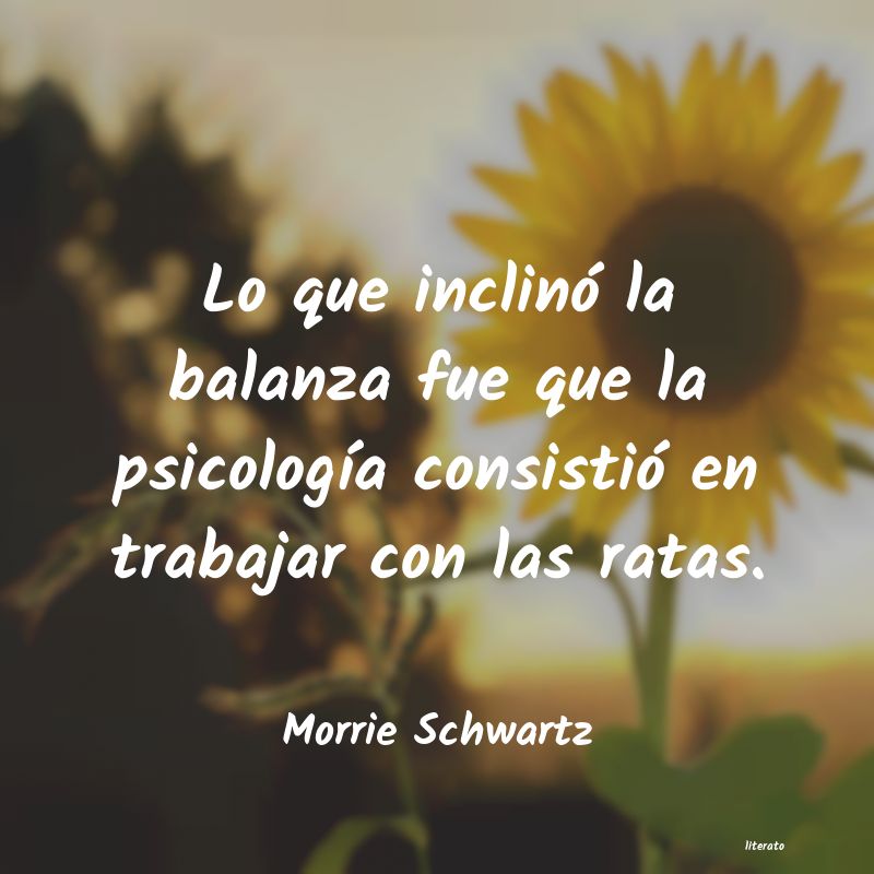 Frases de Morrie Schwartz