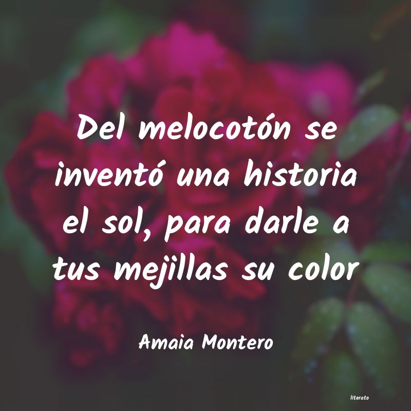 Frases de Amaia Montero