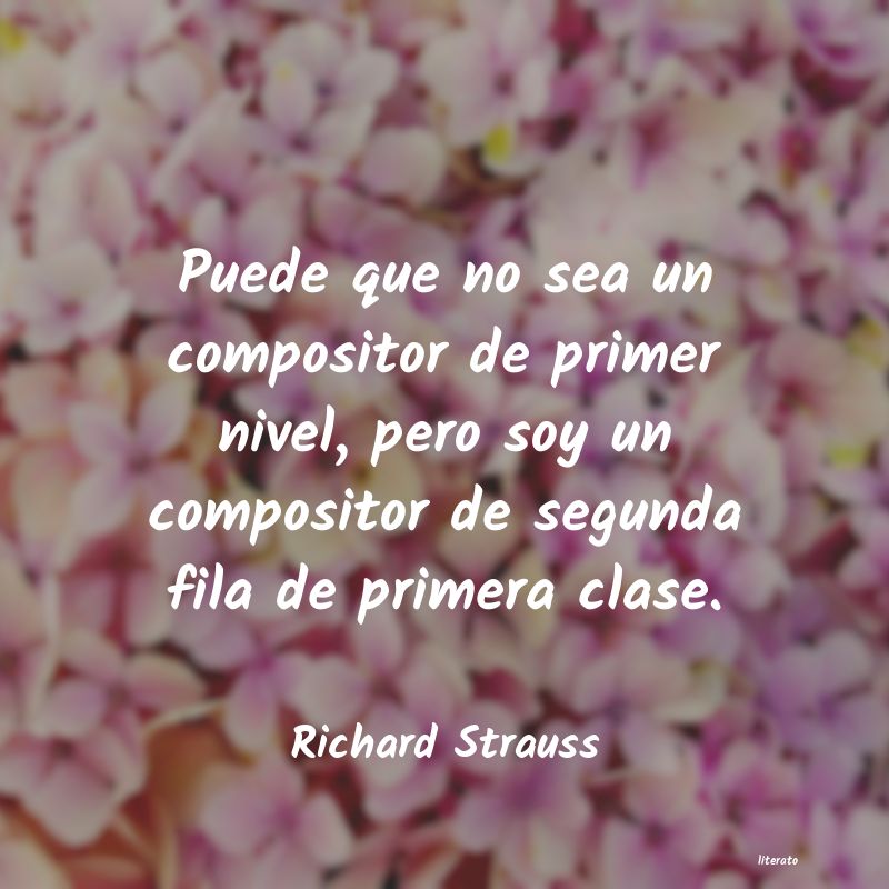 Frases de Richard Strauss