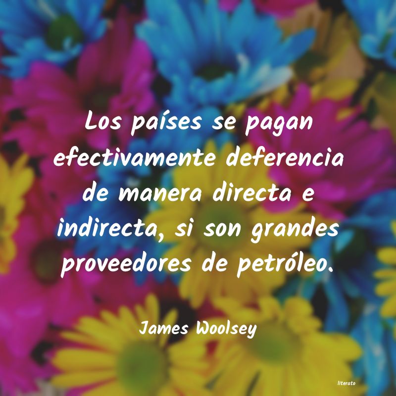 Frases de James Woolsey