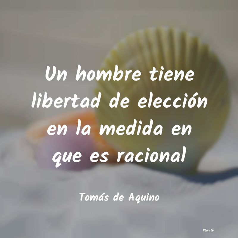 frases de TomÃ¡s de Aquino