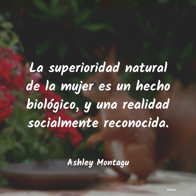 Frases de Ashley Montagu