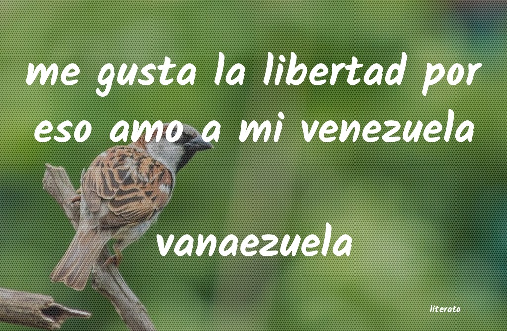 Frases de vanaezuela
