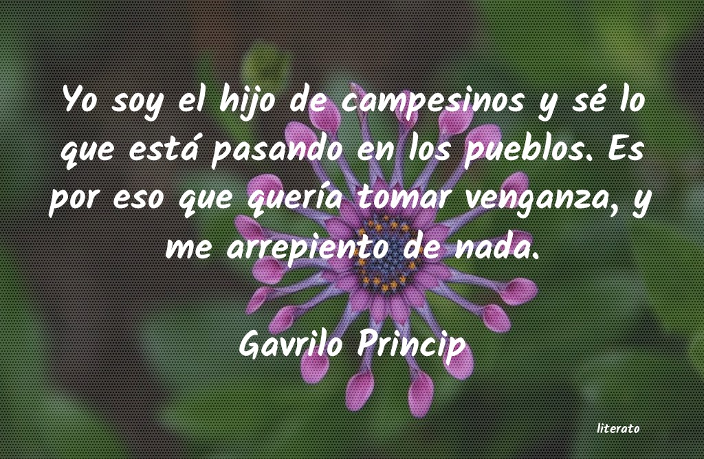 Frases de Gavrilo Princip