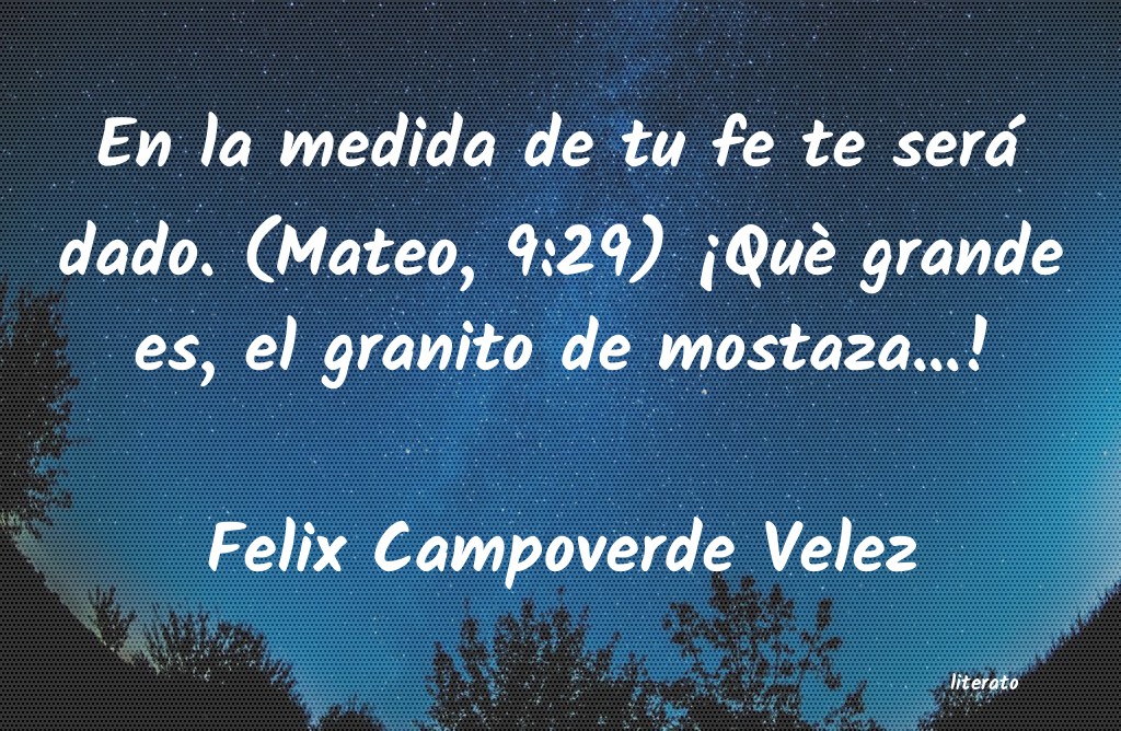 Frases de Felix Campoverde Velez