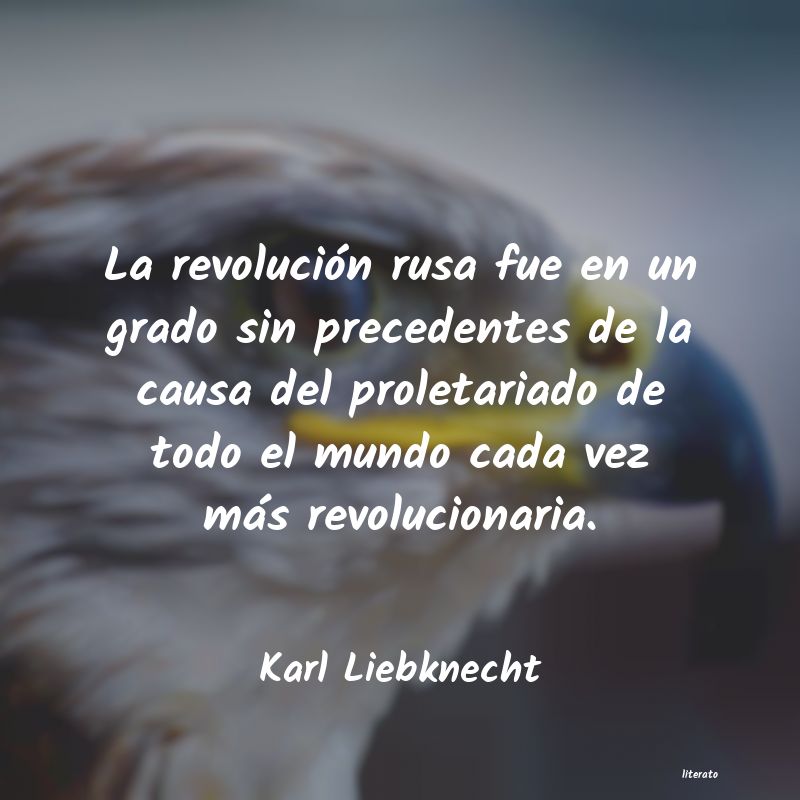 Frases de Karl Liebknecht