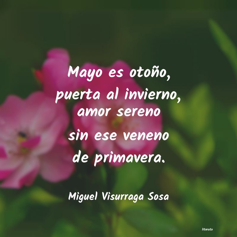 frases de Miguel Visurraga Sosa