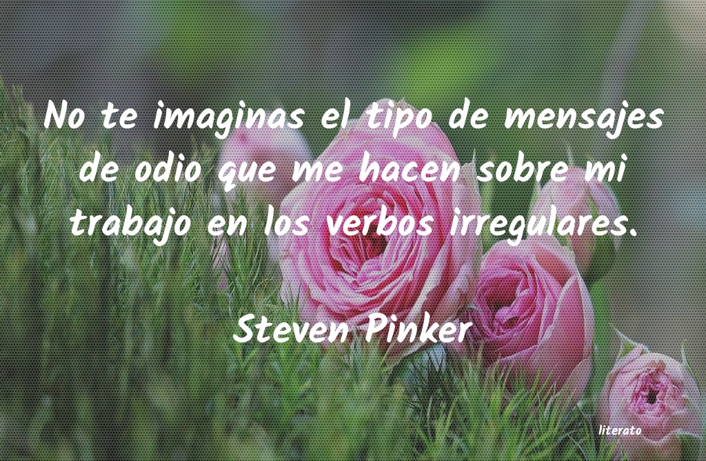 Frases de Steven Pinker