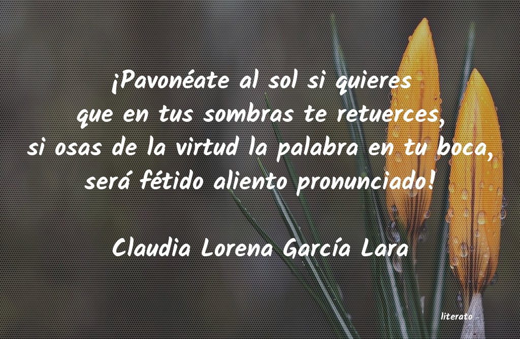 Frases de Claudia Lorena García Lara