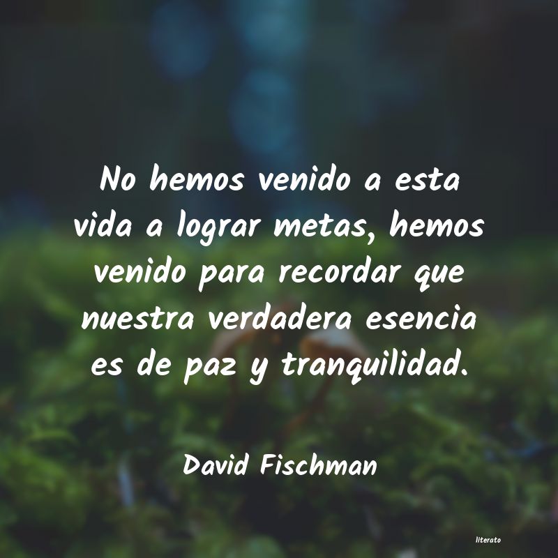 Frases de David Fischman