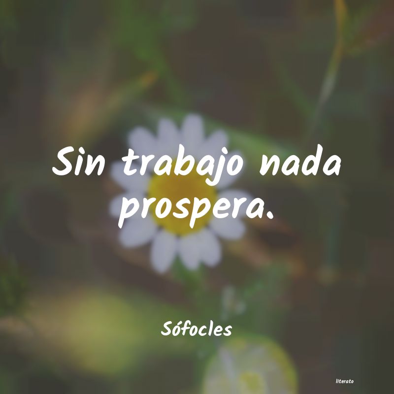 Frases de Sófocles