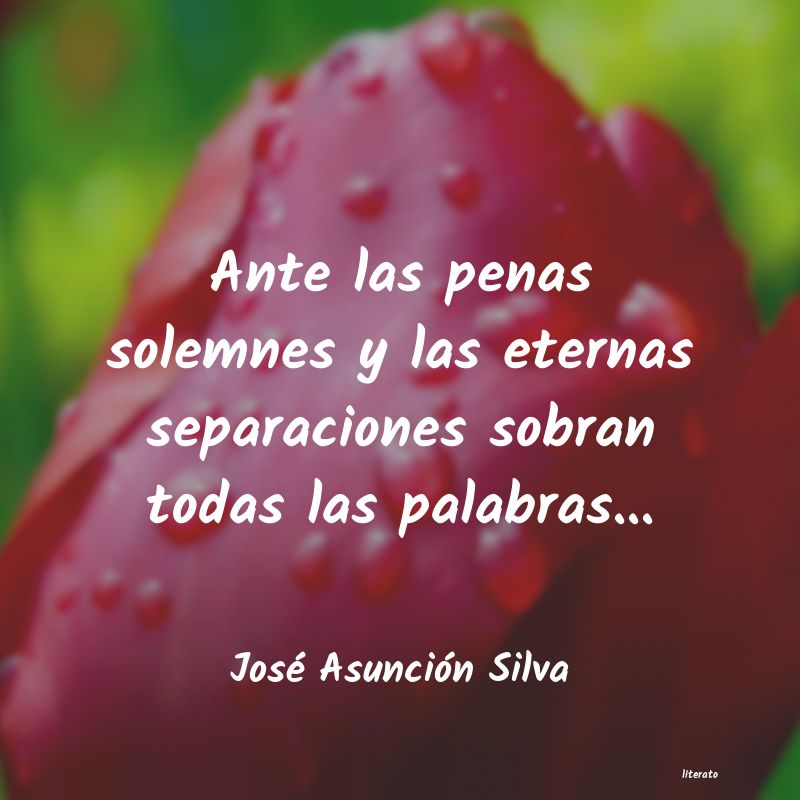 Frases de José Asunción Silva