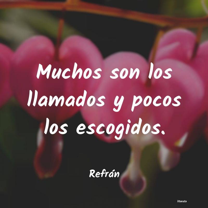 frases de Refrán