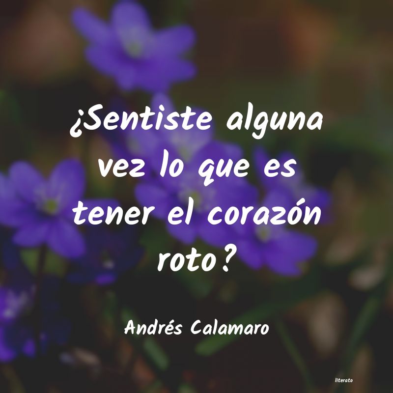 Frases de Andrés Calamaro