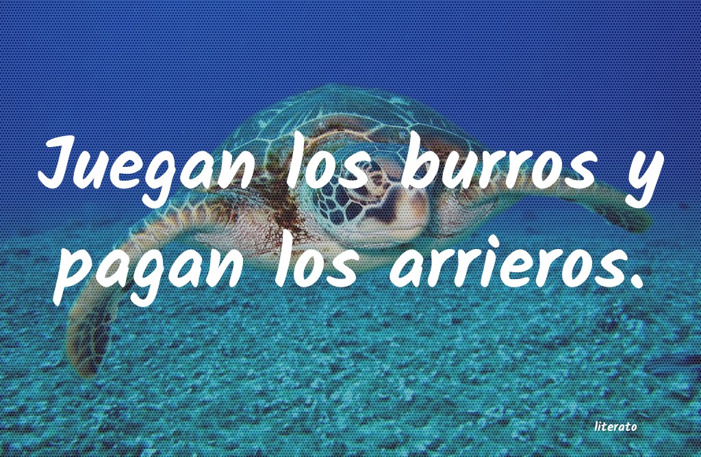 frases