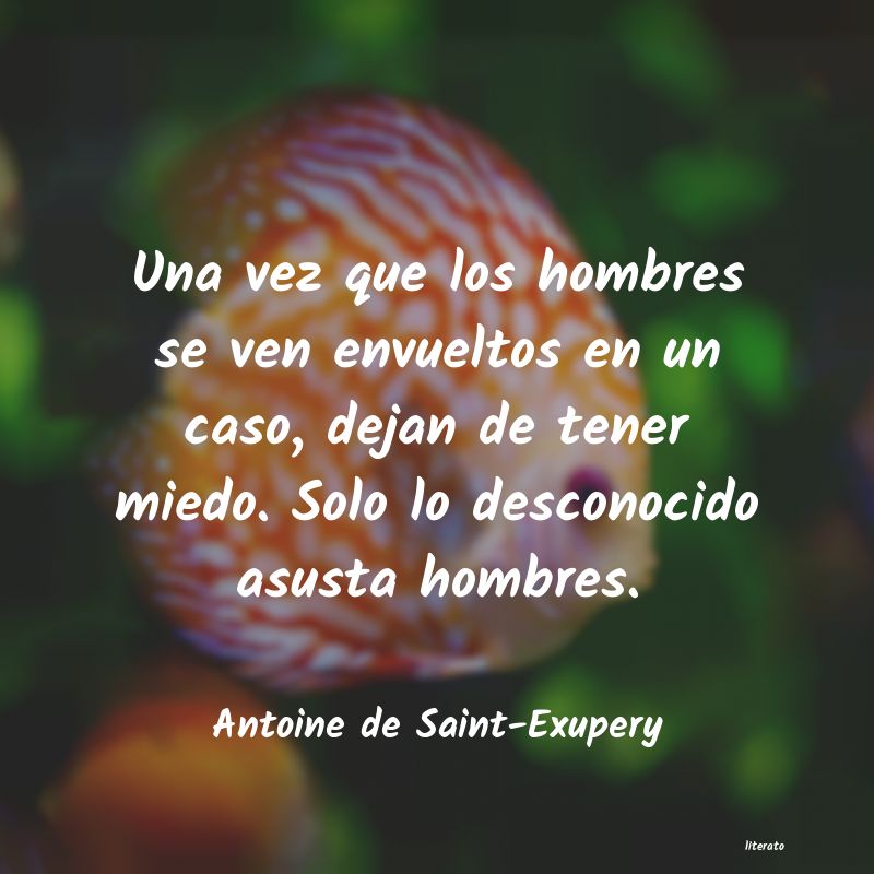 Frases de Antoine de Saint-Exupery