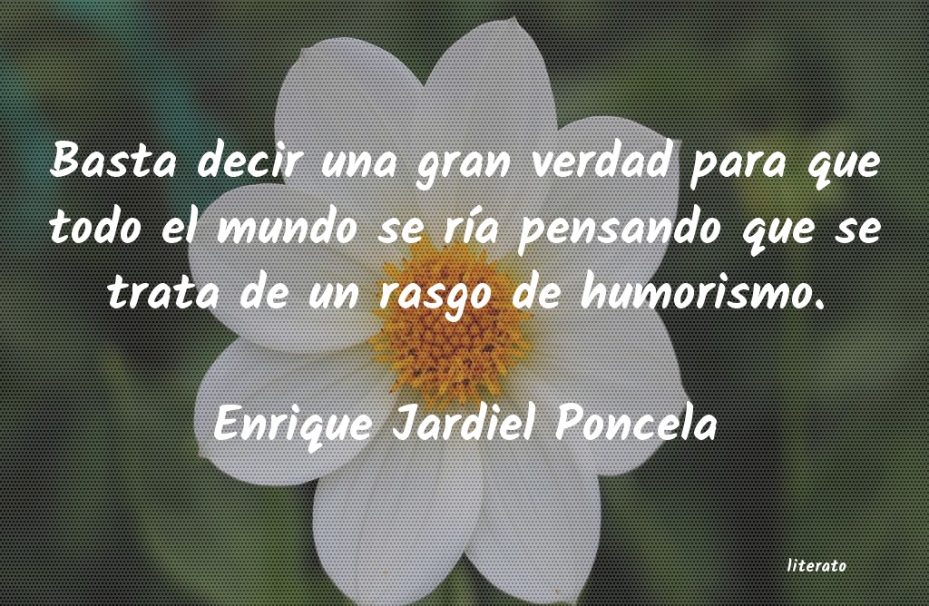 frases para decir basta