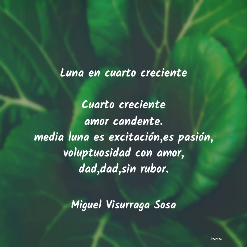 frases de Miguel Visurraga Sosa