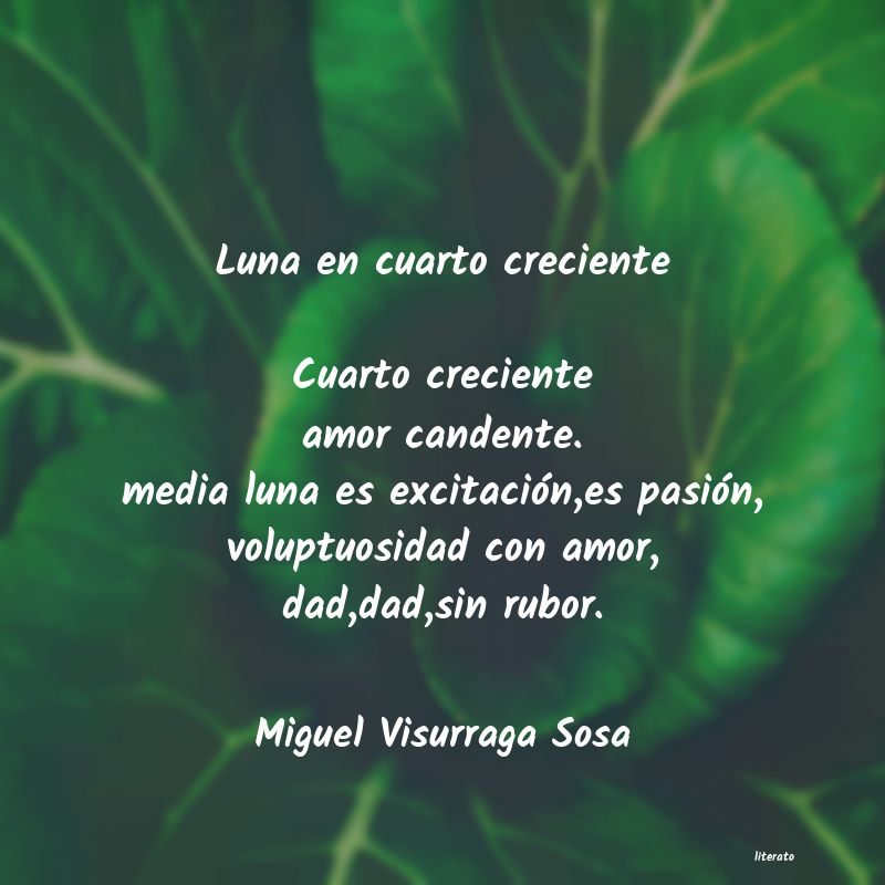 Frases de Miguel Visurraga Sosa