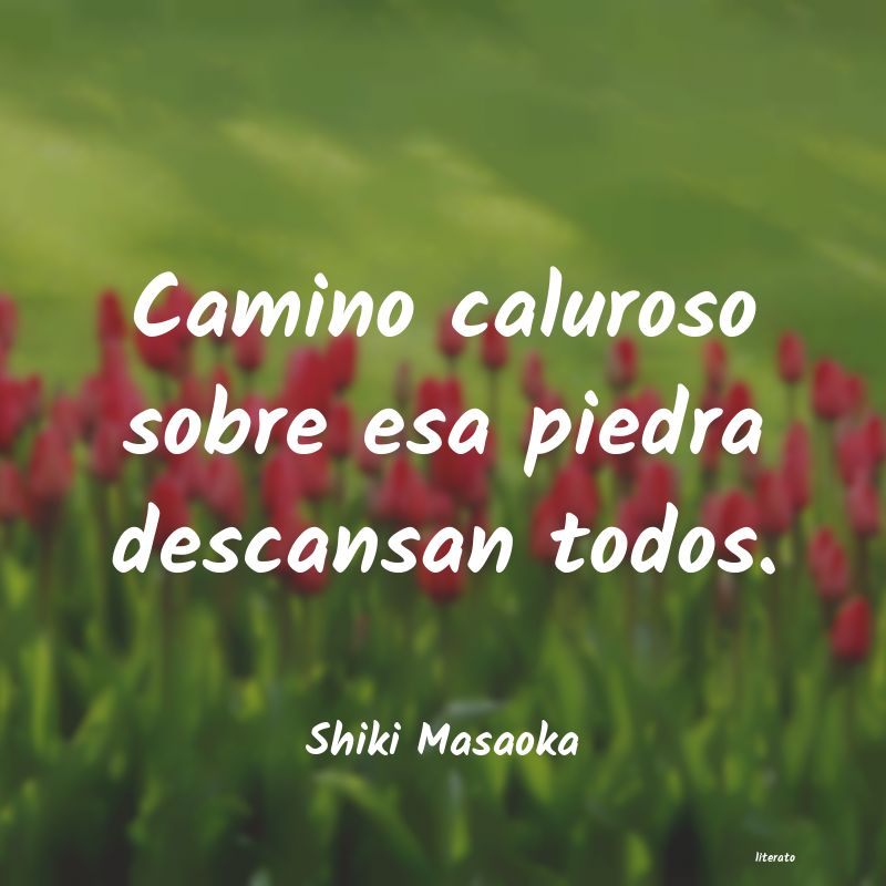 frases de Shiki Masaoka