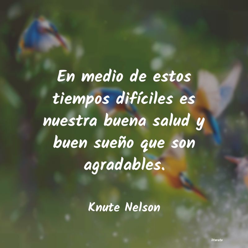 frases de Knute Nelson