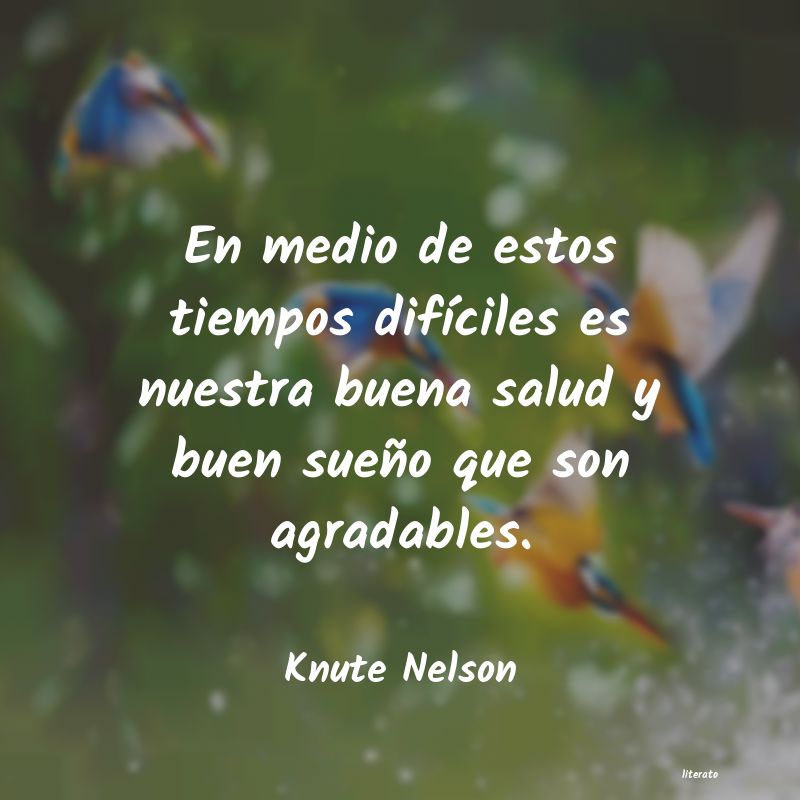 Frases de Knute Nelson