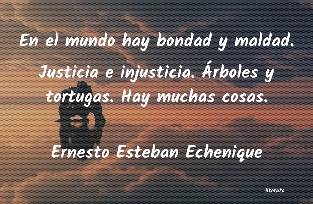 frases de Ernesto Esteban Echenique