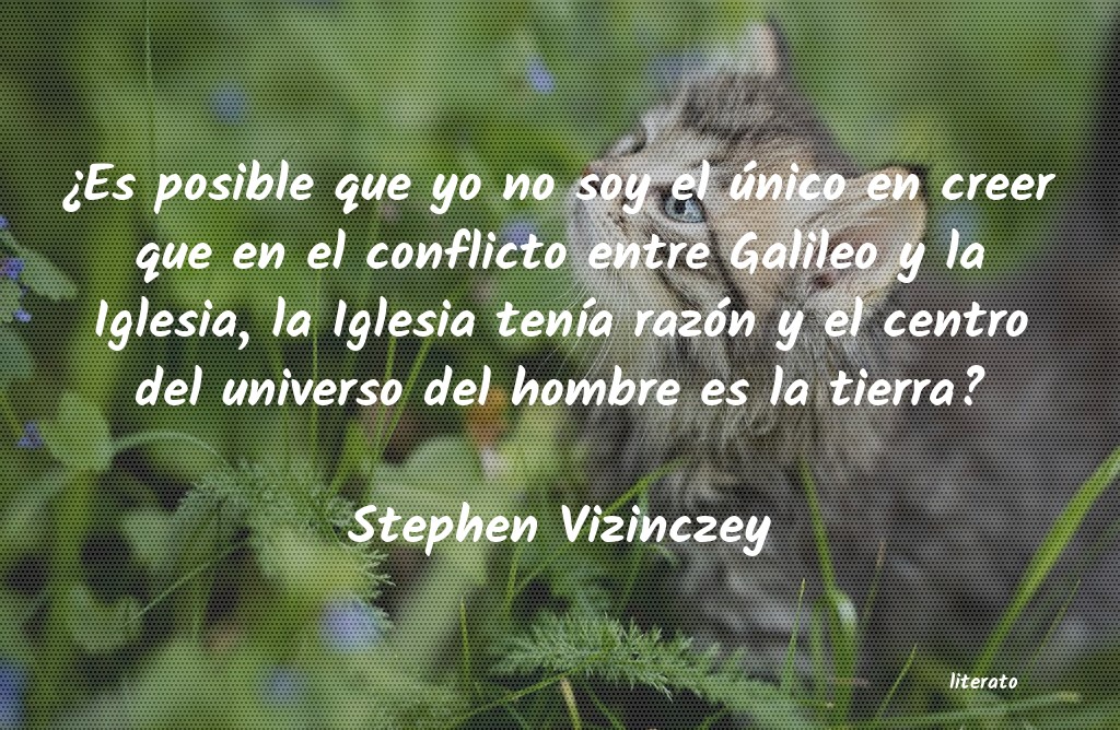frases de Stephen Vizinczey
